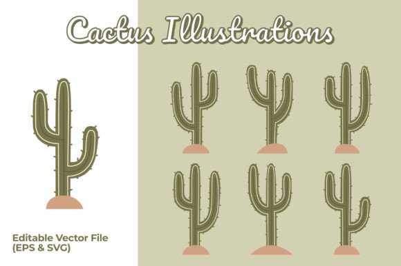 Cactus Flat Illustrations: A Designer's Review of This Graphics Asset